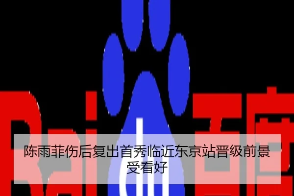 陈雨菲伤后复出首秀临近东京站晋级前景受看好