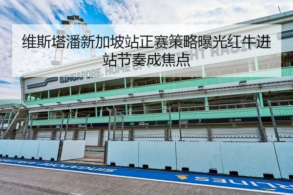 维斯塔潘新加坡站正赛策略曝光红牛进站节奏成焦点